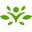 Swanson Health logo