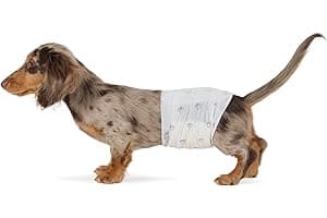 Amazon Basics Absorbent, Leakproof Male Dog Wrap Disposable Diapers, Small, Pack of 50, White