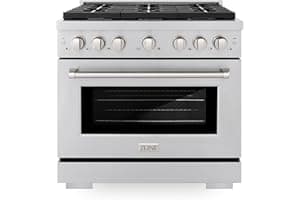 ZLINE 36 in. 5.2 cu. ft. Gas Range with Convection Gas Oven in Stainless Steel with 6 Brass Burners (SGR-BR-36)