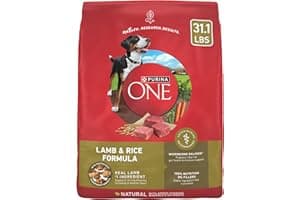 Purina ONE Dry Dog Food Lamb and Rice Formula - 31.1 lb. Bag