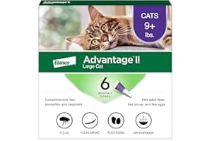 Advantage II Large Cat Vet-Recommended Flea Treatment & Prevention | Cats Over 9 lbs. | 6-Month Supply