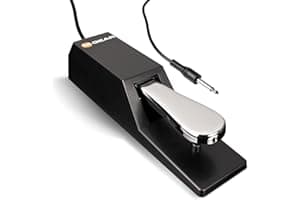 M-AUDIO SP-2 Universal Sustain Pedal with Piano Style Action For MIDI Keyboards, Digital Pianos and More