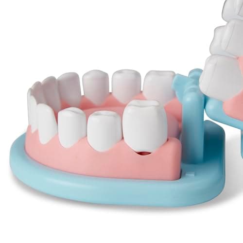 Melissa & Doug Super Smile Dentist Play Set, 25-Piece Dentist Kit with Oversized Teeth, Large Tools & Accessories, Kids Toys for Girls & Boys 3+ - Image 4