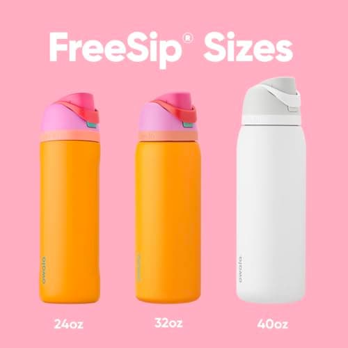 Owala FreeSip Insulated Stainless Steel Water Bottle with Straw for Sports and Travel, BPA-Free Sports Water Bottle, 24 oz, Grey/Grey, Due North - Image 5