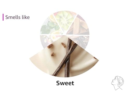 Amazon Basics Body Oil Gel with Cocoa Butter, Paraben Free, 6.8 Fl Oz (Pack of 1) (Previously Solimo) - Image 6