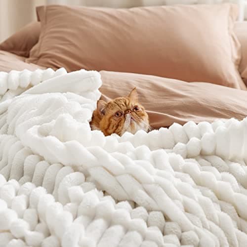 Bedsure GentleSoft White Throw Blanket for Couch - Cozy Blanket for Women, Cute Fleece Throws for Girls Sofa Couch Cover, Birthday Gifts for Women, Room Fall Halloween Decor, Off White, 50x60 Inches - Image 3