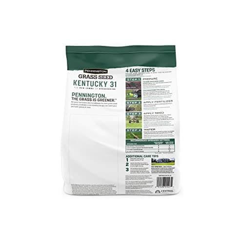 Pennington Kentucky 31 Tall Fescue Penkoted Grass Seed 3 lb - Image 2