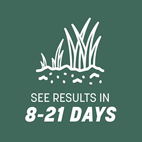 Pennington Kentucky 31 Tall Fescue Penkoted Grass Seed 3 lb - Image 7