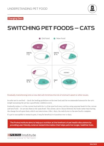 Purina ONE High Protein, Natural Dry Kitten Food, +Plus Healthy Kitten Formula - 7 lb. Bag - Image 11