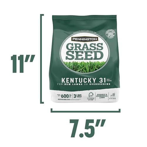 Pennington Kentucky 31 Tall Fescue Penkoted Grass Seed 3 lb - Image 13