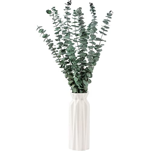 10 Pcs Dried Eucalyptus Stems 17" Real Eucalyptus for Shower Hanging 100% Made from Fresh Leaves, Wedding, Home, Farmhouse, DIY Spring Decor Bathroom Decor Home Decor - Image 2