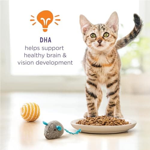 Kitten Chow Dry Cat Food by Purina - Image 4