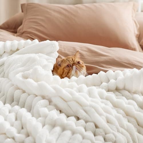 Bedsure GentleSoft Blankets Queen Size for Bed - Cozy Soft Blankets for Women, Cute Large Bedding Fleece Throws for Girls, Off White, 90x90 Inches - Image 4