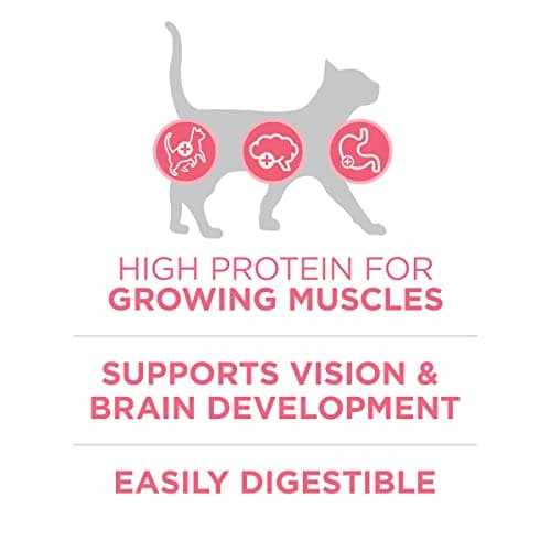 Purina ONE High Protein, Natural Dry Kitten Food, +Plus Healthy Kitten Formula - 7 lb. Bag - Image 4