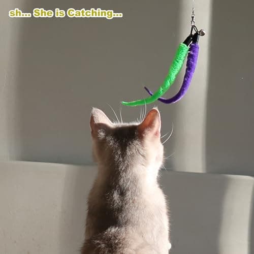 MeoHui Interactive Cat Toys - Retractable Wand Toy and Feather Toys Refills for Indoor Cats to Chase and Exercise - Image 8