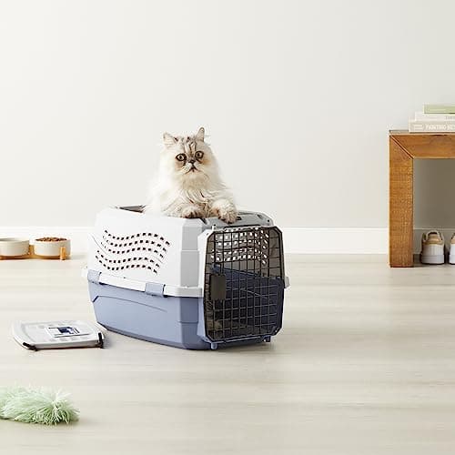 Amazon Basics 2-Door Top-Load Hard-Sided Dogs, Cats Pet Travel Carrier, Gray & Blue, 22.8"L x 15.0"W x 13.0"H - Image 8