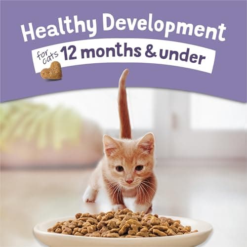 Kitten Chow Dry Cat Food by Purina - Image 2