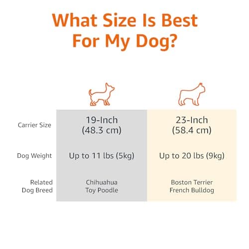 Amazon Basics 2-Door Top-Load Hard-Sided Dogs, Cats Pet Travel Carrier, Gray & Blue, 22.8"L x 15.0"W x 13.0"H - Image 3