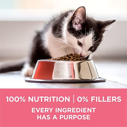 Purina ONE High Protein, Natural Dry Kitten Food, +Plus Healthy Kitten Formula - 7 lb. Bag - Image 7