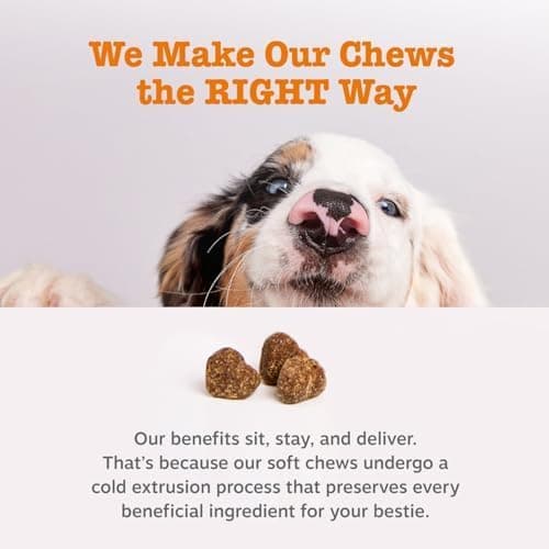 Zesty Paws Probiotics for Dogs - Probiotics for Gut Flora, Digestive Health, Occasional Diarrhea & Bowel Support - Clinically Studied DE111 - Functional Dog Supplement Soft Chew for Pet Immune System Pumpkin 90 Count - Image 7