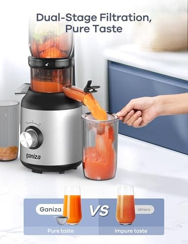 Ganiza Juicer Machines, Slow Masticating Juicers with Large Feed Chute for Whole Fruits & Vegetables, Cold Press Juicer with 3 Replace Filters for Batch Juicing, Easy to Clean, BPA Free(Silver) - Image 5
