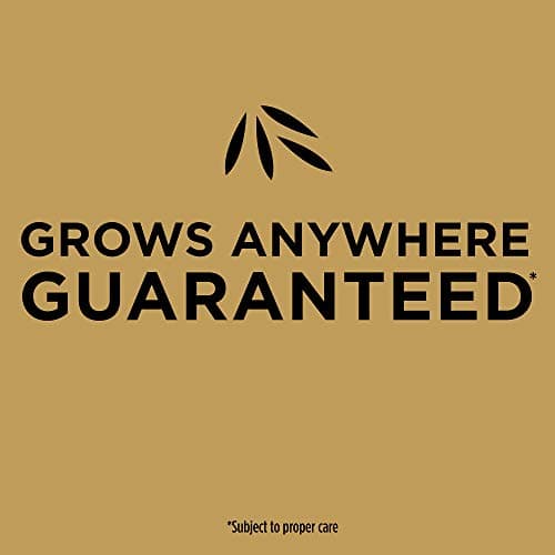 Scotts EZ Seed Patch & Repair Sun and Shade Mulch, Grass Seed, Fertilizer Combination for Bare Spots and Repair, 3.75 lb, Brown - Image 7