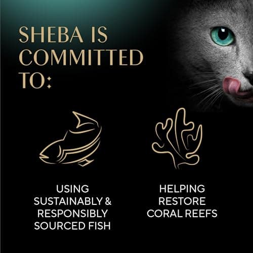 Sheba Perfect Portions Kitten Wet Cat Food Pate Chicken Entree, Salmon Entree, and Turkey Entree, 2.6 oz. Twin-Pack Trays (24 Count, 48 Servings) - Image 7