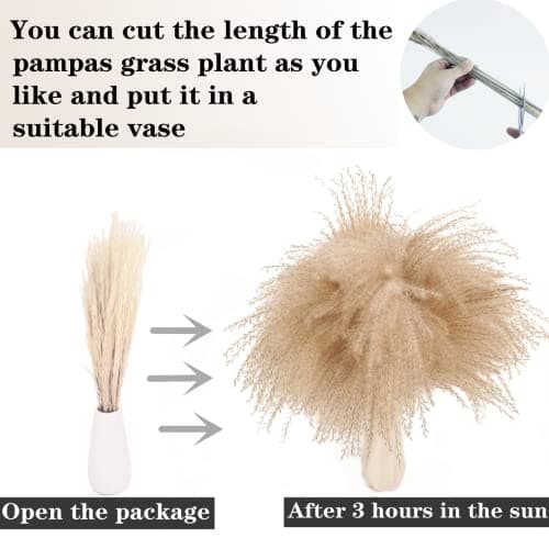 Dried Pampas Grass Decor, 100 Stems Pampas Grass Contains Bunny Tails Dried Flowers, Reed Grass Bouquet for Wedding Boho Flowers Home Table Decor, Rustic Farmhouse Party (17", White and Brown) - Image 5