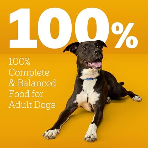 Pedigree High Protein Adult Dry Dog Food, Beef and Lamb Flavor, 18 lb. Bag - Image 12