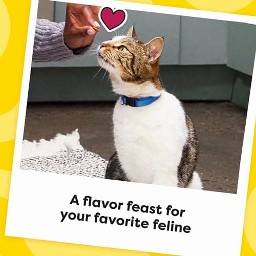 Temptations MixUps Catnip Fever Flavor Crunchy and Soft Cat Treats, 16 oz. Tub - Image 10