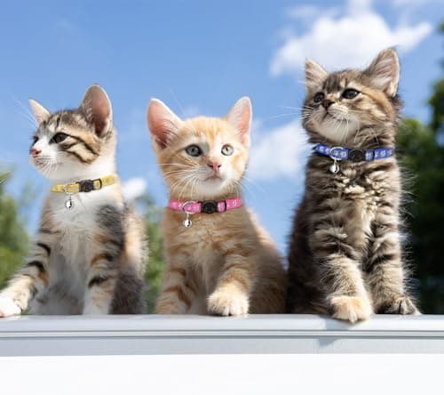 16 PCS Breakaway Cat Collars with Bells Reflective Cat Collar Safety Nylon Kitten Collars Cat Collars for Girl Boy Cats(6"-9") - Image 2