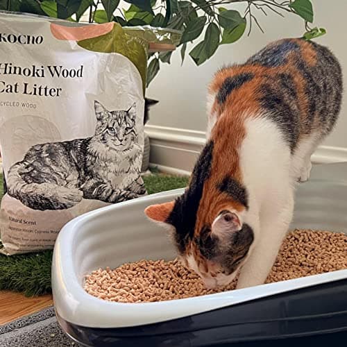 KOCHO Hinoki Wood Cat Litter, Upcycled, Ultra Lightweight, Natural Aroma of Hinoki Japanese Cypress, Gentle Clumping, Dust-Free - Image 4