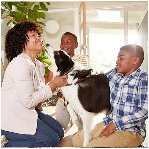 Filtrete 20x25x1 AC Furnace Air Filter, MERV 11, MPR 1000, Micro Allergen Defense, 3-Month Pleated 1-Inch Electrostatic Air Cleaning Filter, 2 Pack (Actual Size 19.688 x 24.688 x 0.84 in) - Image 10