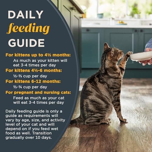 Reveal Natural Dry Kitten Food, High Protein, Grain Free with Added Vitamins & Minerals and DHA, Complete & Balanced Nutrition for Kittens, Chicken Recipe (2.5 Pound Bag) - Image 5