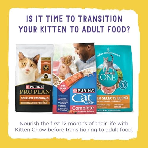 Kitten Chow Dry Cat Food by Purina - Image 13