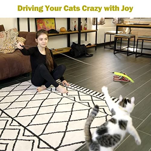 MeoHui Interactive Cat Toys - Retractable Wand Toy and Feather Toys Refills for Indoor Cats to Chase and Exercise - Image 7