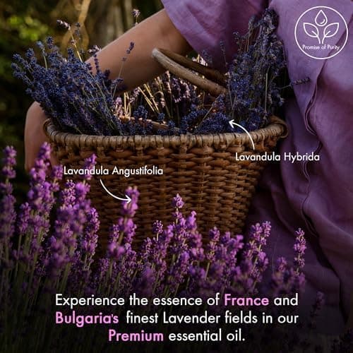 Majestic Pure Lavender Essential Oil with Glass Dropper - Huge 4 Fl Oz - 100% Pure and Natural Lavender Oil - Premium Grade Essential Oils for Diffuser, Aromatherapy, Soap and Candle Making - Image 3