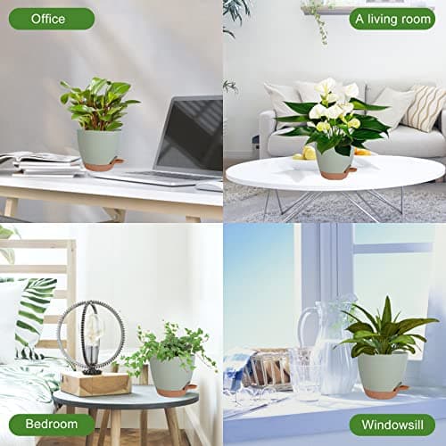 Vanslogreen Plant Pots Indoor 7/6.5/6/5.5/5 Inch Self Watering Planters for Indoor Plants with Drainage Hole, Plastic Flower Pots for Succulents, African Violet (Green) - Image 6