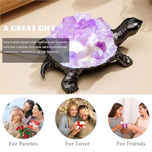 Runyangshi Natural Amethyst Turtle Night Lamp Healing Crystal Bedroom Bedside Table Lamp USB Port Home Decor Women Men Gift - Image 6