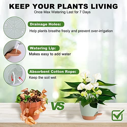 Vanslogreen Plant Pots Indoor 7/6.5/6/5.5/5 Inch Self Watering Planters for Indoor Plants with Drainage Hole, Plastic Flower Pots for Succulents, African Violet (Green) - Image 2