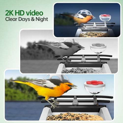 Bird Feeder with Camera - 2K HD Live View, AI Identification & Instant Alerts, Weatherproof for Outdoors, 2.4GHz WiFi Solar Powered Smart Feeder for Bird Lovers - Image 5