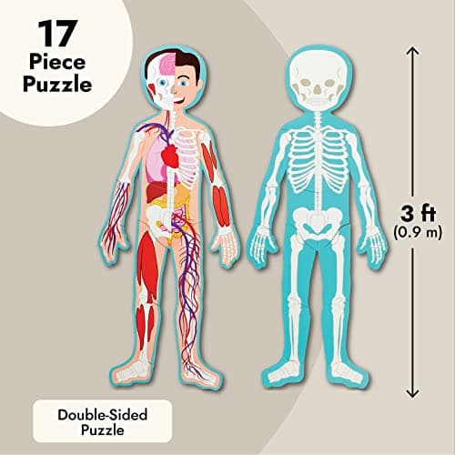 BLUE PANDA 3 ft Magnetic Human Body Puzzle Double-Sided for Kids Anatomy Learning Model with Body Parts & Organs - Image 3