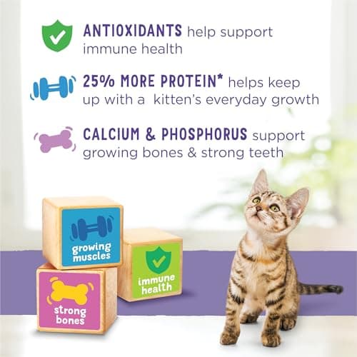 Kitten Chow Dry Cat Food by Purina - Image 8
