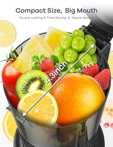 Ganiza Juicer Machines, Slow Masticating Juicers with Large Feed Chute for Whole Fruits & Vegetables, Cold Press Juicer with 3 Replace Filters for Batch Juicing, Easy to Clean, BPA Free(Silver) - Image 3