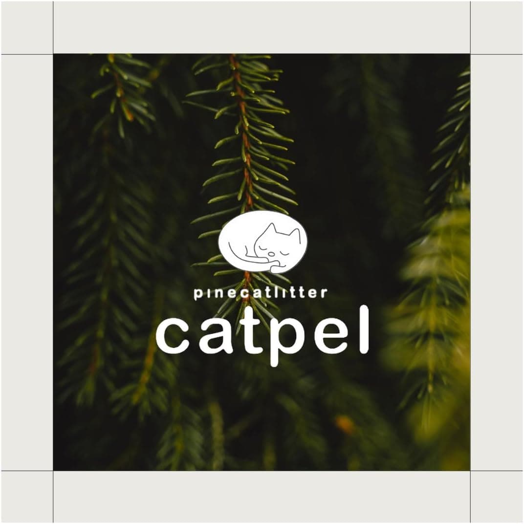 Premium Pine Pellets Cat Litter, 100% All Natural Pellet Kitty Litter, Non Clumping Non Tracking Low Dust Litter Meant for Use with Sifting Litter Box (11 lb) - Image 8