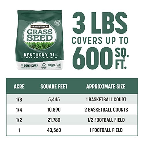 Pennington Kentucky 31 Tall Fescue Penkoted Grass Seed 3 lb - Image 5