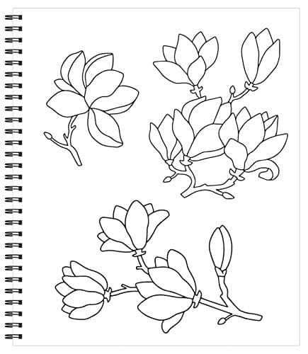 Large Print Easy Color & Frame - Calm (Stress Free Coloring Book) - Image 3