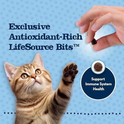 Blue Buffalo Baby Blue Natural Kitten Dry Cat Food, Healthy Growth Formula with DHA, Chicken and Brown Rice Recipe, 2-lb Bag - Image 6