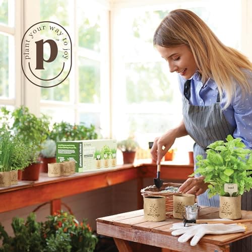 Planters' Choice 9 Herb Indoor Window Garden Kit - House Plants Seeds - Best Unique Gift Ideas for Women, Mom, Friend, Her, Birthday, Housewarming, Mother - New Home Kitchen Gifts - Live Plant Starter - Image 3