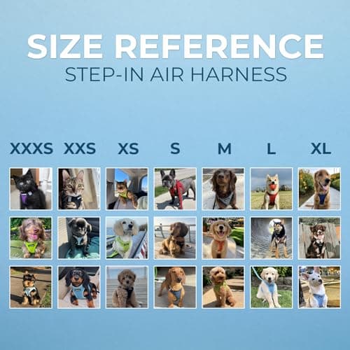 Best Pet Supplies Voyager Step-in Air Harness - All Weather Mesh, Reflective, No Pull Harness for Dogs, Cats - Secure with Hook & Loop Fastener, Buckle, Double D-Rings - Fuchsia, M - Image 6
